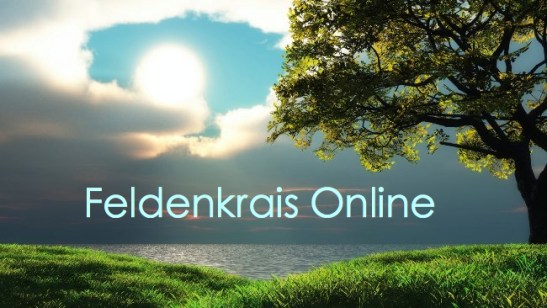 feldenkraisonline