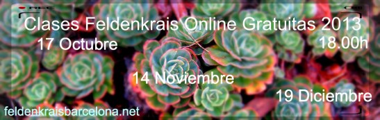 feldenonlinegratis