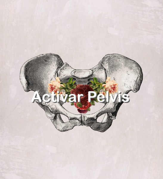 pelvis activar