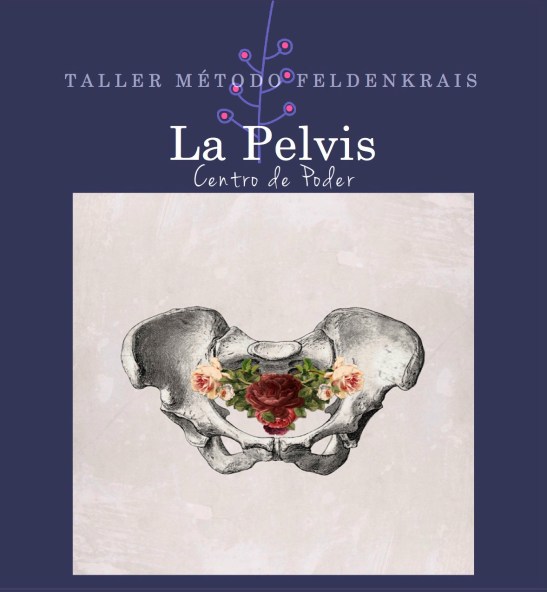 Taller Método Feldenkrais-